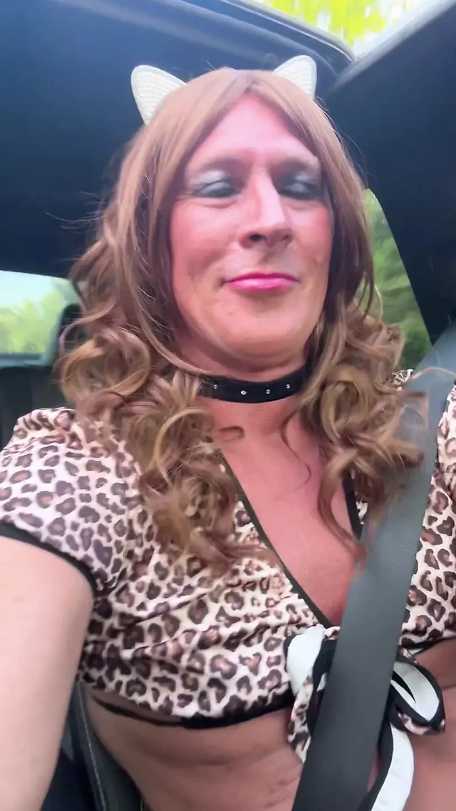 Driving Home and Cumming