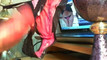 Pregled videozapisa
