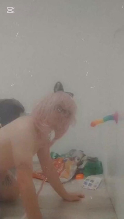 Catboy and the rainbow penis