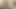 Bbcがレッドボーンビッチをハメる
