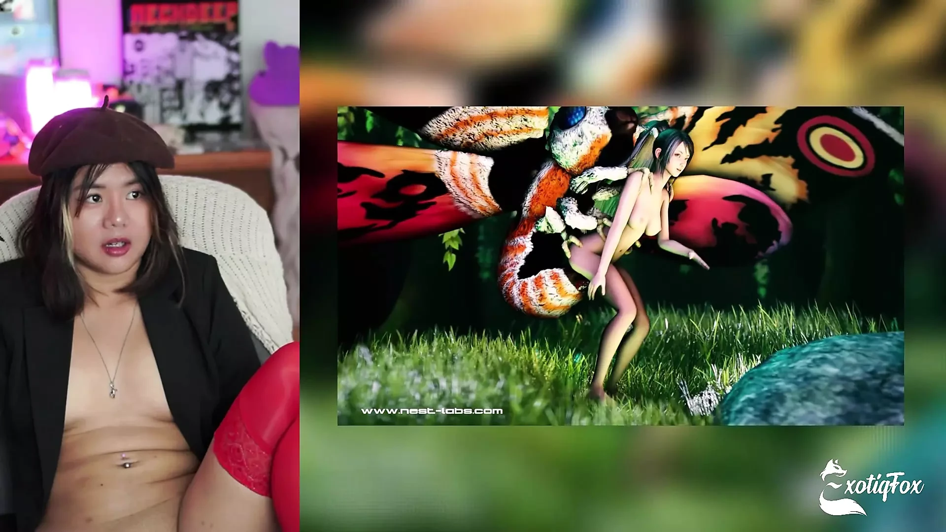 Ο χαριτωμένος ασιατικός streamer ExotiqFox αντιδρά στη συλλογή hentai από τη Nestlabs