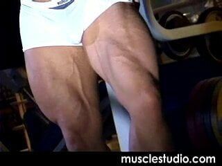 Studiu muscular - Cedricbenson (rezumat)