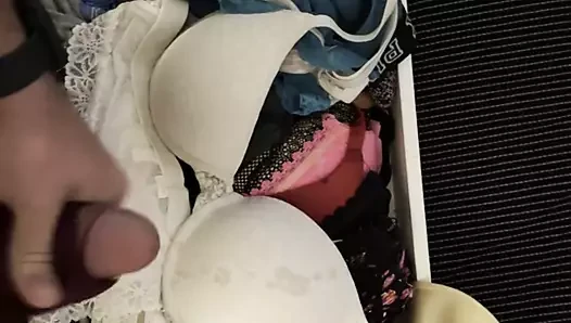 Pantie Telent porn video – Cum on friends pantie drawer