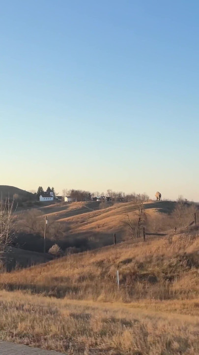 טיול כביש השתולל מהבהב ומזיין בכל מקום!