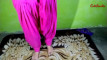 Pregled videozapisa