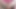 Sissy dildo