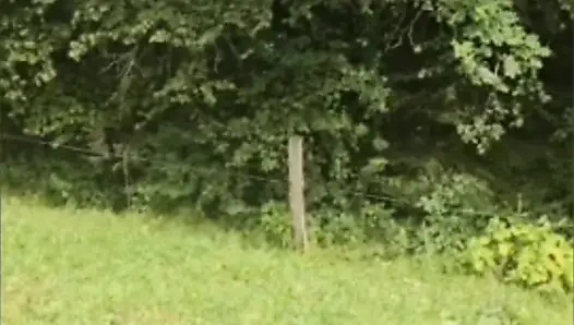 Seks Ve Penisleri Seven Iyi Bir Kadının Derlemesi