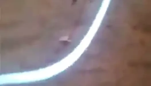 Büyük horoz erkekler gafsa