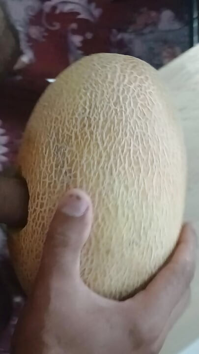 A melon named Yulia