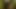 Amazon Encounter