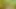 Horny BLOWJOB in a corn field