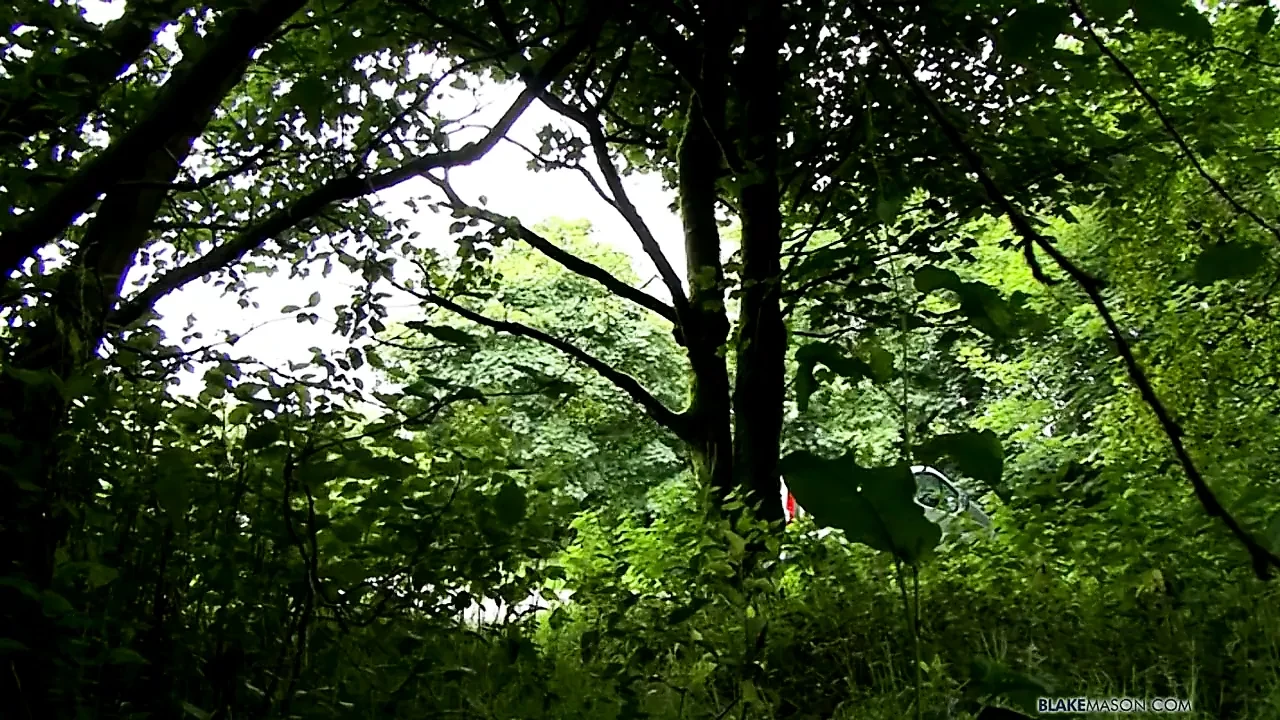 Seth verwerft het dubbele van de penis in het bos