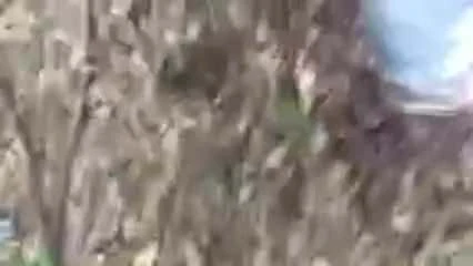 OUTDOOR SUCK