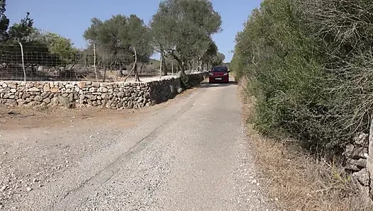 Сучку трахают в киску сзади, пока она сосет еще один большой член