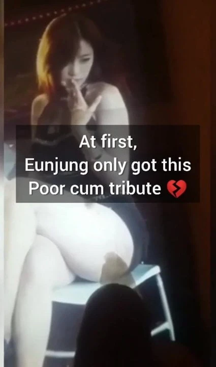 2015 Eunjung (Great China Tour Concert) cum tribute