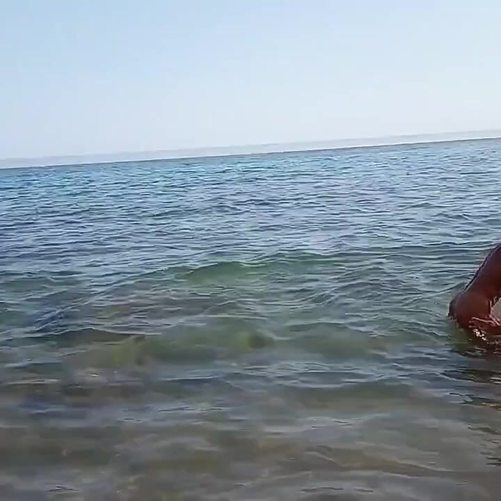 ¿Quieres ver a Rita y tontando en la playa? Definitivamente solo para los fanáticos de esto