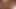 黒人美女と異人種間のぽっちゃりセックス