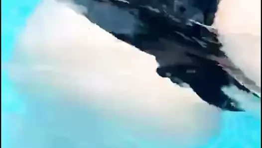 Aku ngentot diriku sendiri berkali-kali & memberikan videonya kepada bos lesbian 60fku