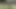Inglese Slutty Hairy MILF Looking for Big Cocks to Get Fucked in the Park