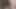 Lesbian.