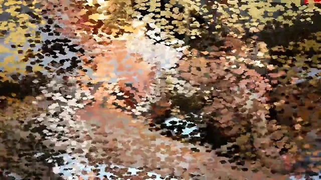Footjob Compilation
