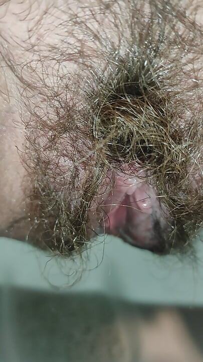 Dlakava piška od grma