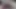 Dirty Talking BBW In Thongs POV