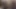 En iyi Hintli ateşli seksi romantizm ve oral seks