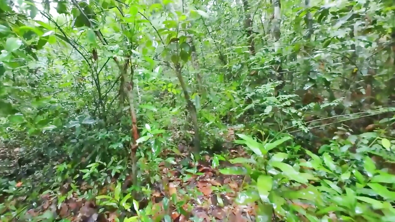 Thai Teenagers get Lost in the Forest and get Horny, so they have Sex.