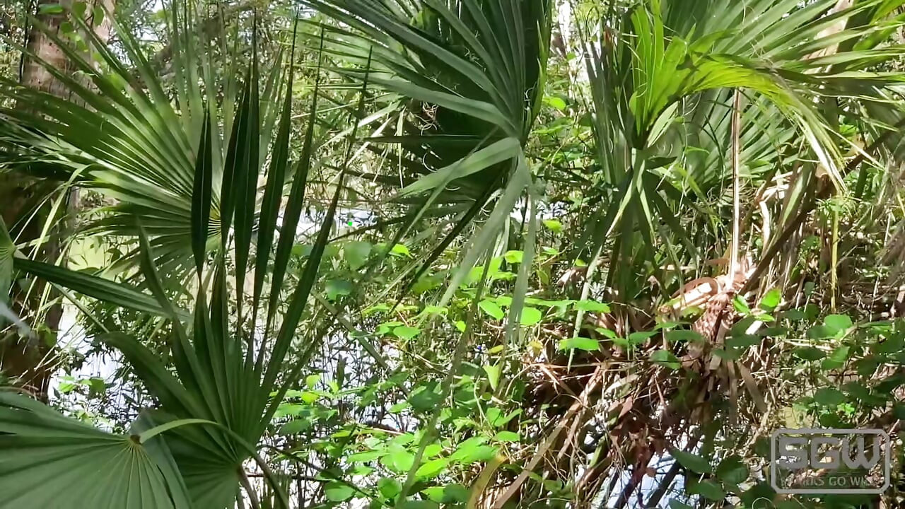 Hiking and Fucking at the Myakka River