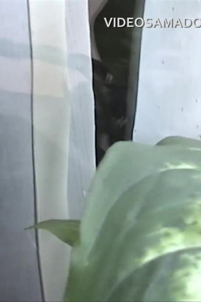 Mann erwischt seine bisexuelle freundin beim sex mit einer anderen frau