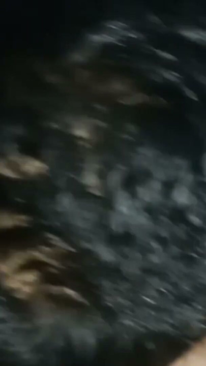 Sexy Bipasha sucking very hard and fucking horny on Saree with her boyfirend on Xhamster 2023 | Clip 1