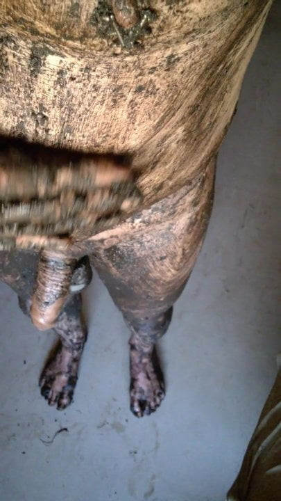 Mud Fun
