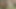 White boy fucks horny native in the ass at the forest