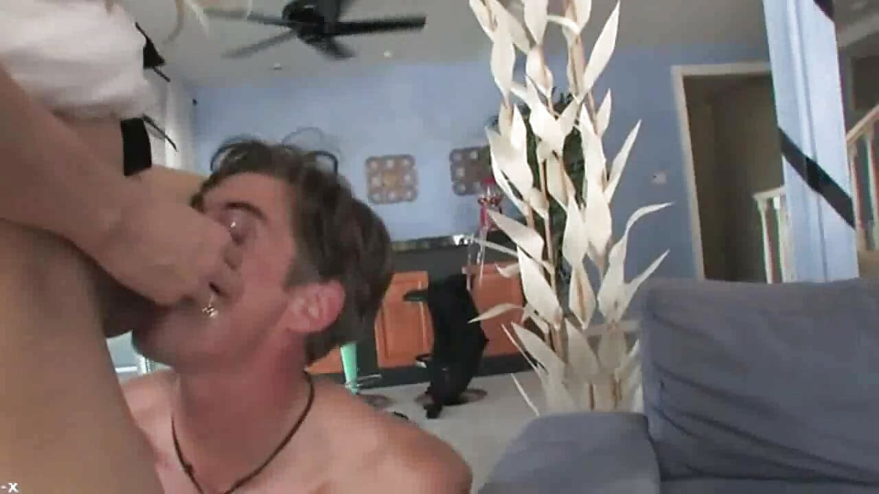 Cocks for Fun