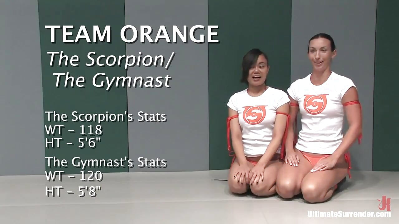 Live Tag Team League Team Orange Vs Team Blue