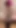 Miss Ruby Monthly Milking Session: Tiny Cock Edition