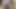 K losyonları ona güzel kedi 2