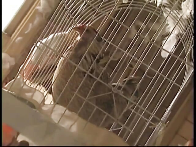 Two guys watch a slutty blond get fucked in her pussy by a machine