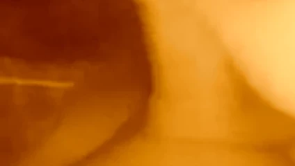 Sepia Wank.