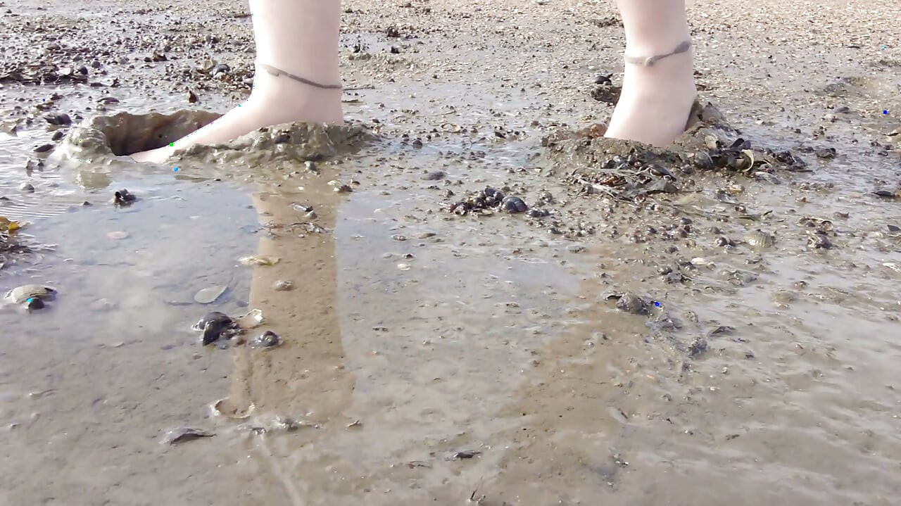 In Fine Stockings in the Wadden Sea of Wangerland