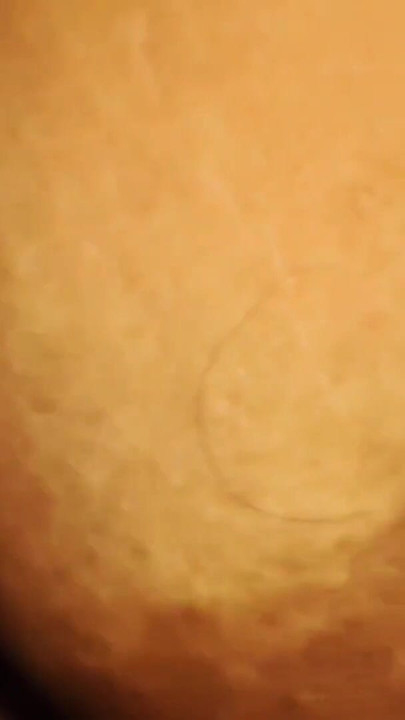 น้า Desi เย็ดจัดหนัก | คลิป 1