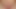 Dream Tranny - Man Meat Is a What a Tranny Needs Compilation