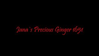 Precious Ginger 1651