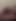 Vibrator spills huge nut