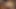 Asyalı orta yaşlı seksi kadın maxine x büyük siyah yaraklarla sert grup seks yapıyor!!