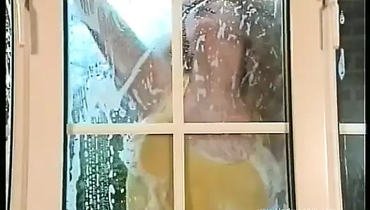 Pembersih Jendela