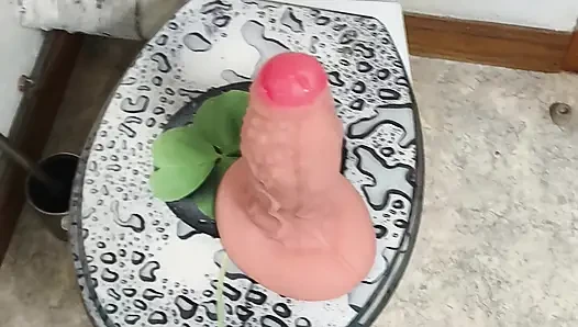 Sodomie tanrısı