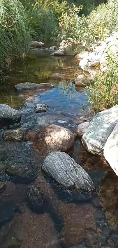 Alone in the river