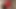 Adventures of Milfycalla Ep 77 Fucking, Blow Jobs and a Lot of Cum